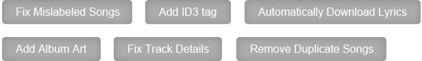 Fix Mislabeled Songs
      Add ID3 tag
      Automatically Download Lyrics 
      Add Album Art
      Fix Track Details
      Remove Duplicate Songs